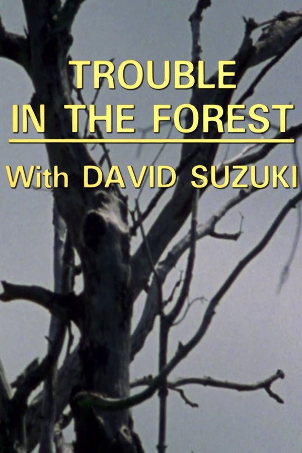 Trouble In The Forest