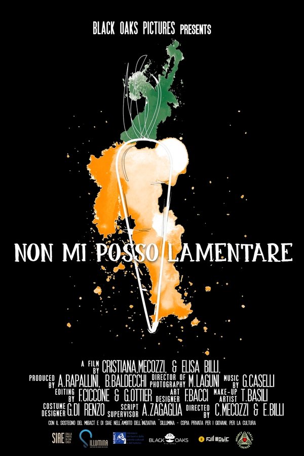 Non Mi Posso Lamentare
