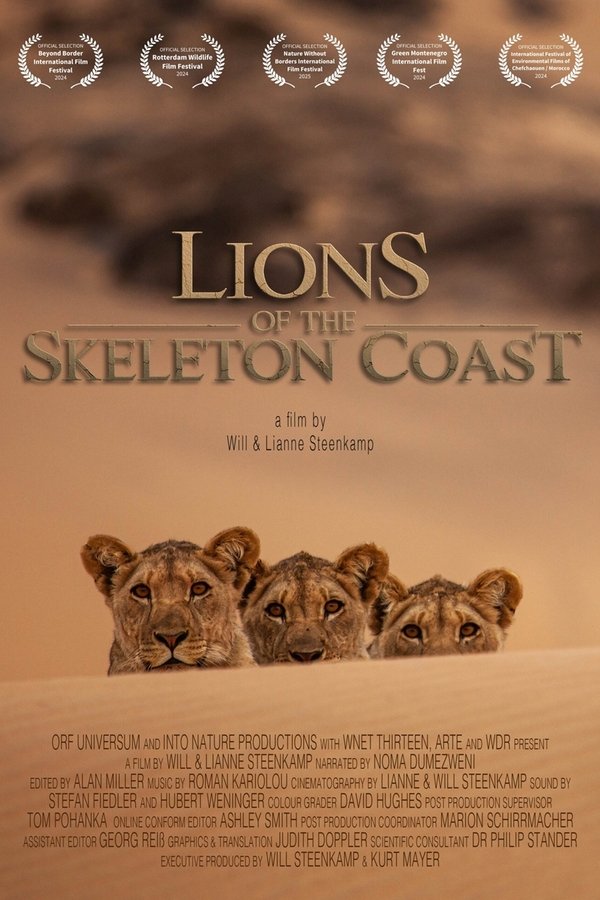 Lions Of The Skeleton Coast