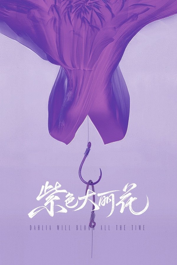 紫色大丽花