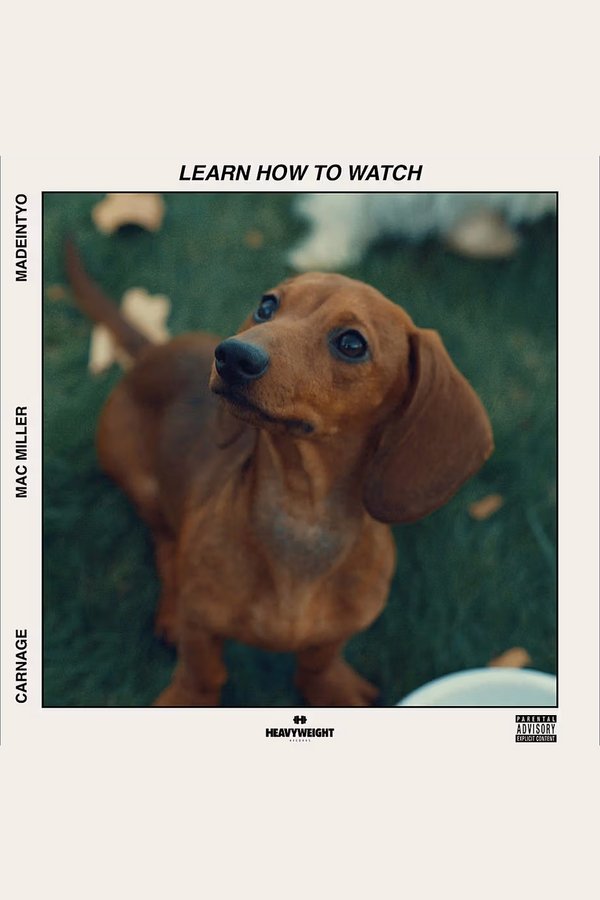 Learn How To Watch