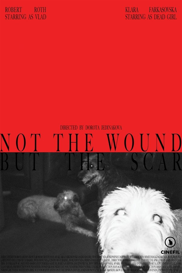 Not The Wound But The Scar