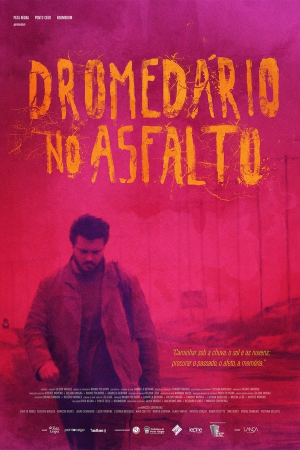Dromedário No Asfalto