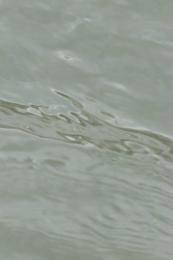 Entre Les Vagues (un Hommage)