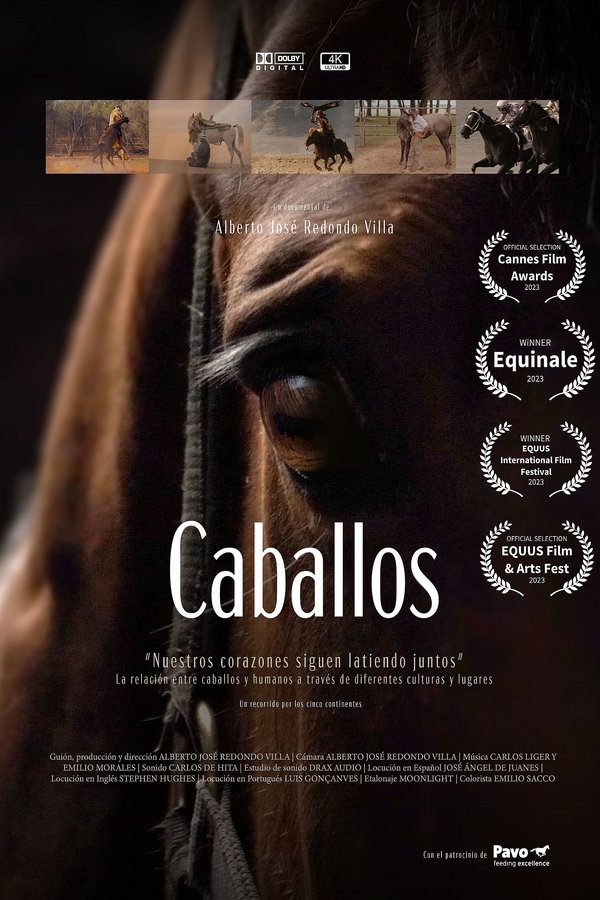 Caballos