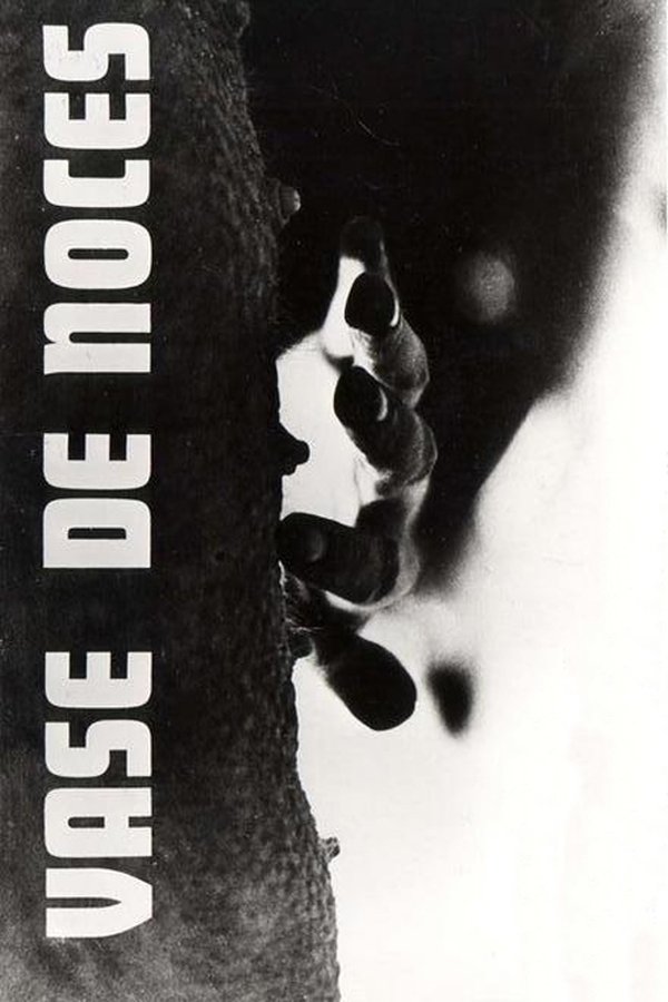 Vase De Noces