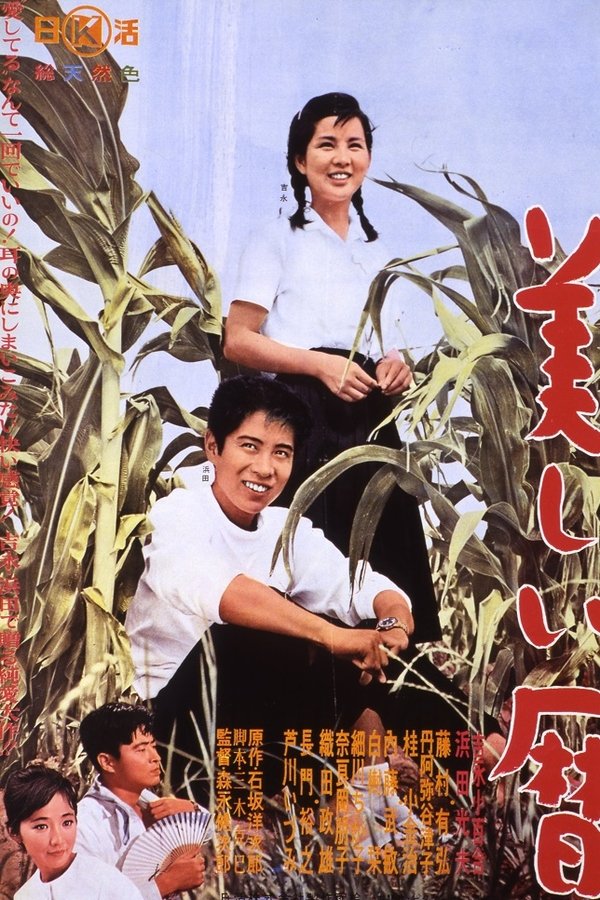 美しい暦