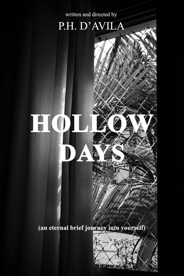 HOLLOW DAYS - An Eternal Brief Journey Into Yourself