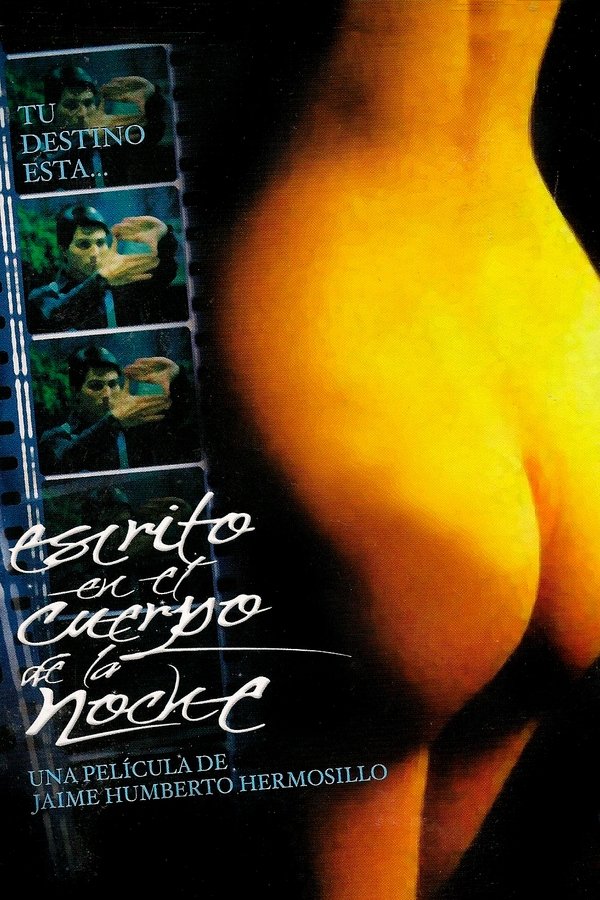 Escrito En El Cuerpo De La Noche