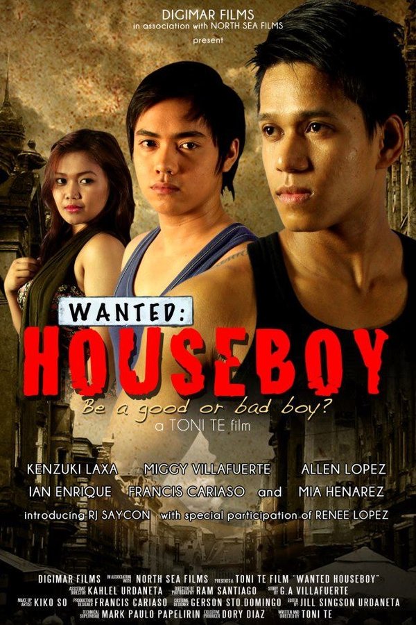 Wanted: Houseboy