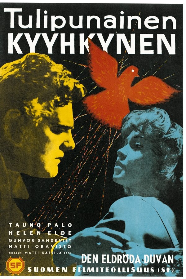 Tulipunainen Kyyhkynen