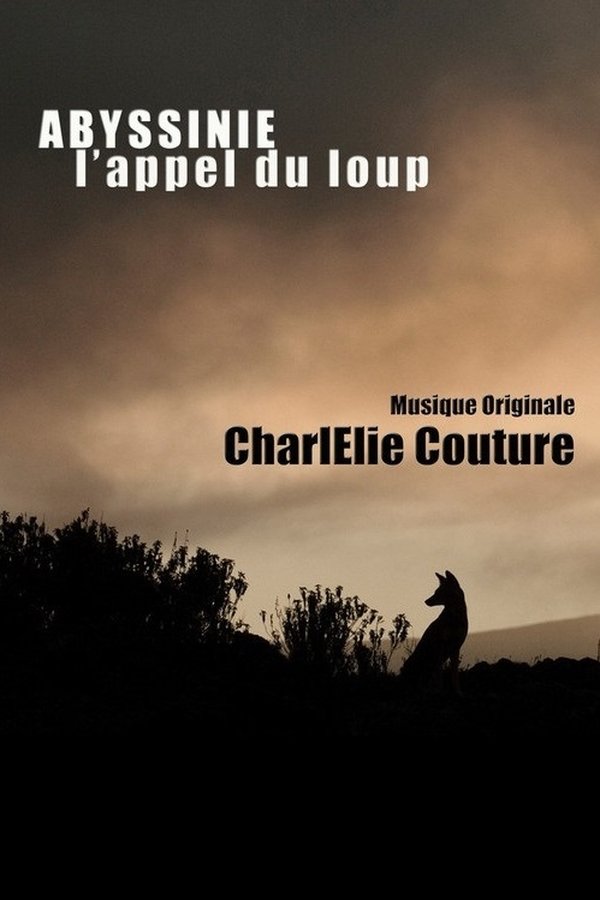 Abyssinie, L'appel Du Loup
