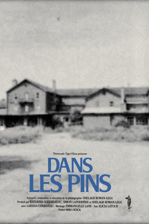 Dans Les Pins