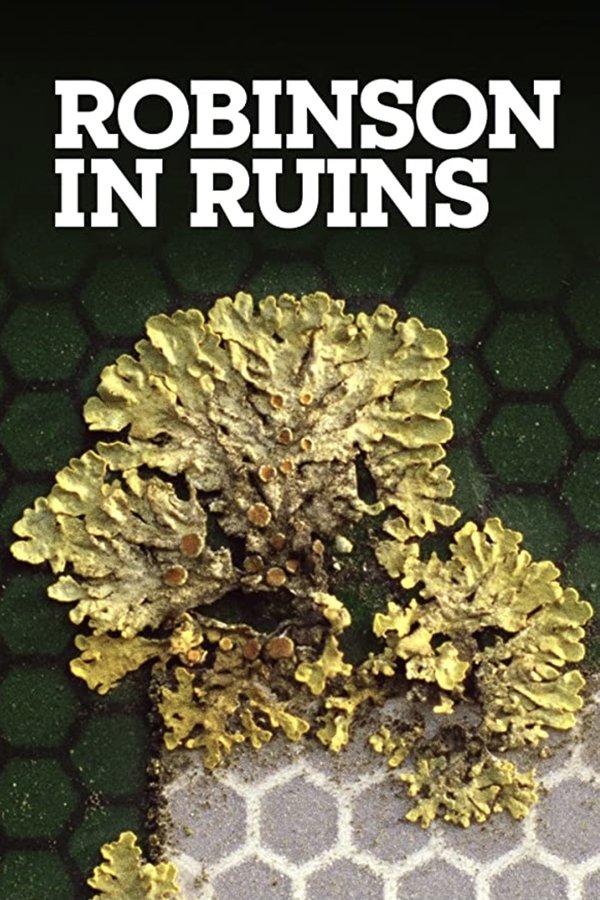 Robinson In Ruins