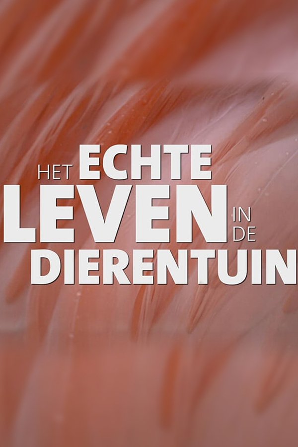 Het Echte Leven In De Dierentuin