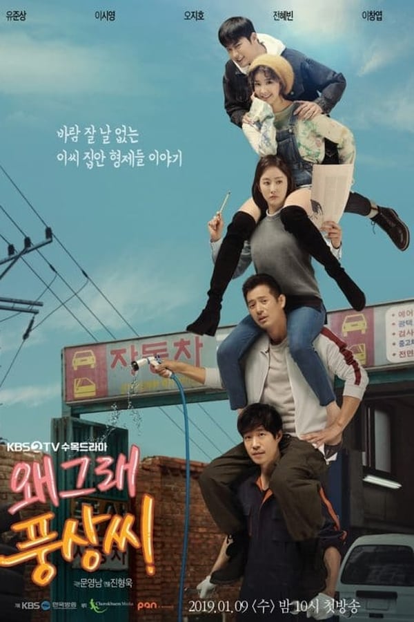 왜그래 풍상씨