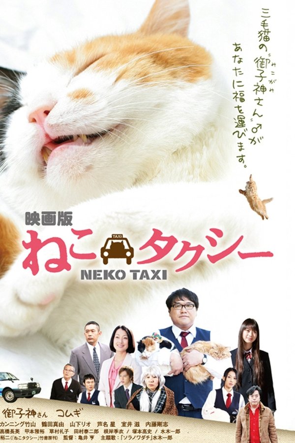 ねこタクシー