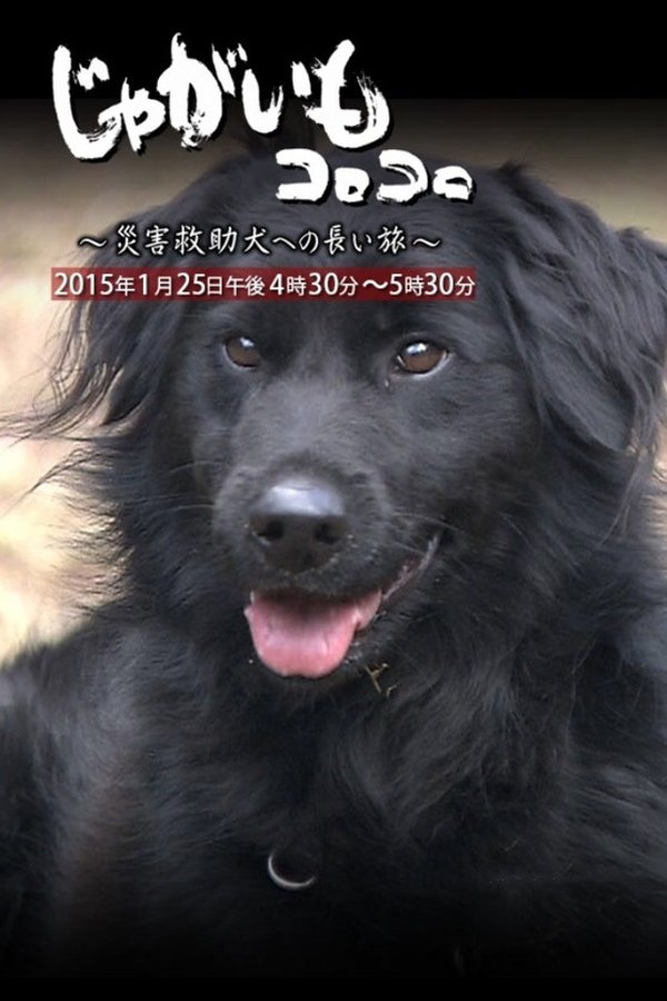 じゃがいもコロコロ～災害救助犬への長い旅～