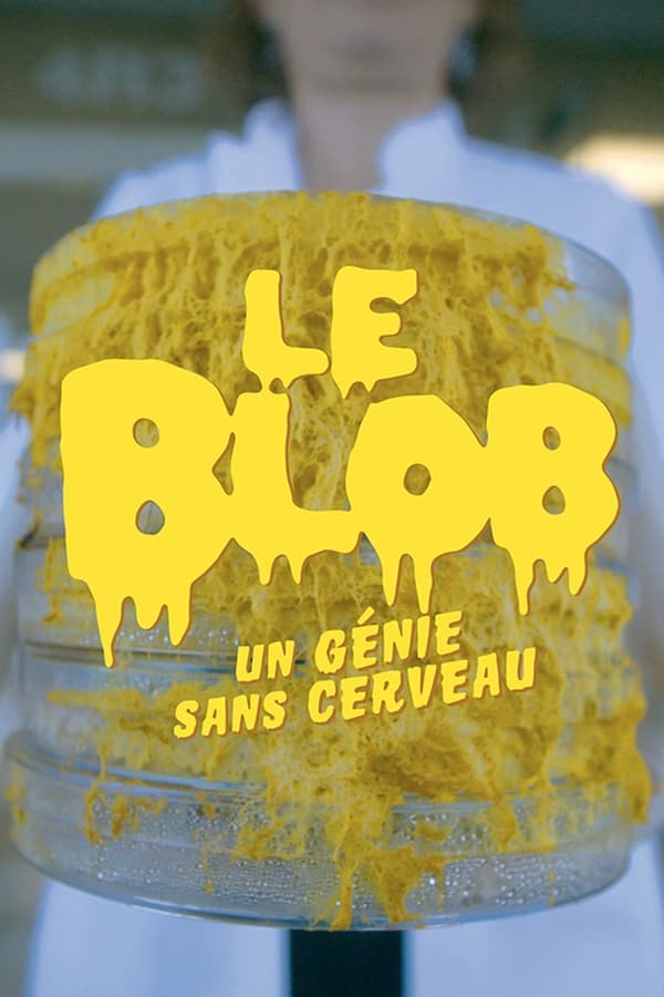Le Blob, Un Génie Sans Cerveau