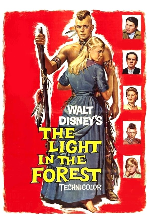The Light in the Forest