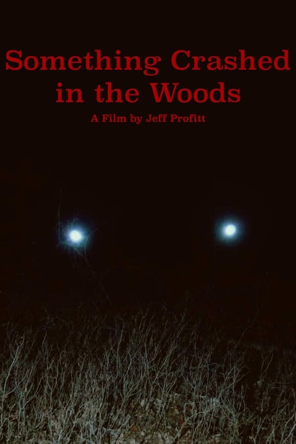 Something Crashed In The Woods