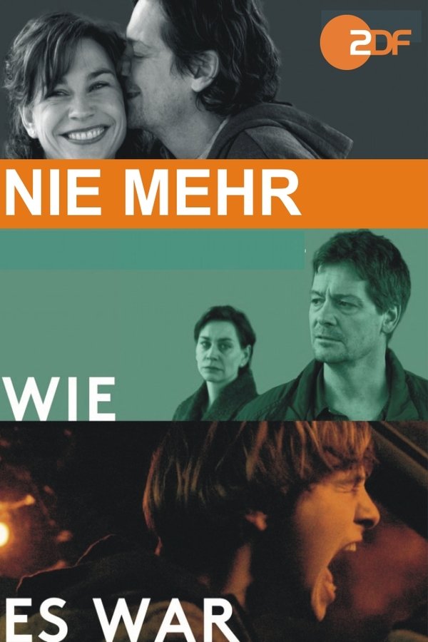 Nie Mehr Wie Es War
