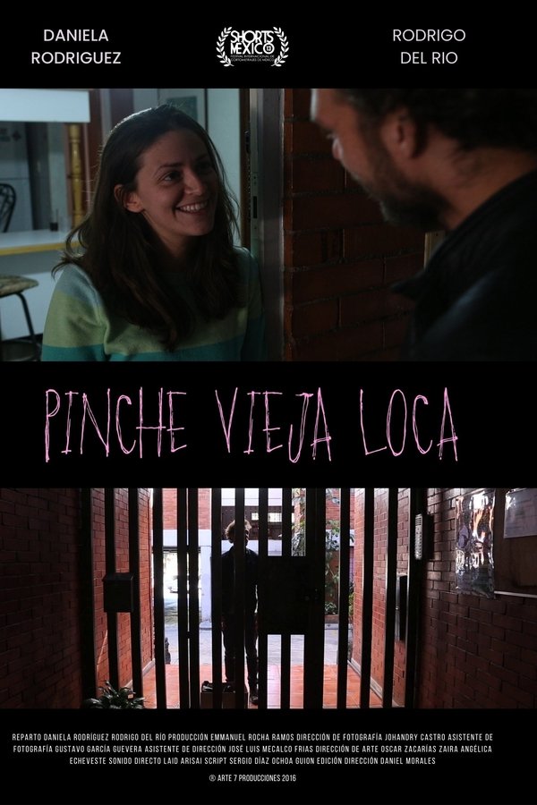 Pinche Vieja Loca