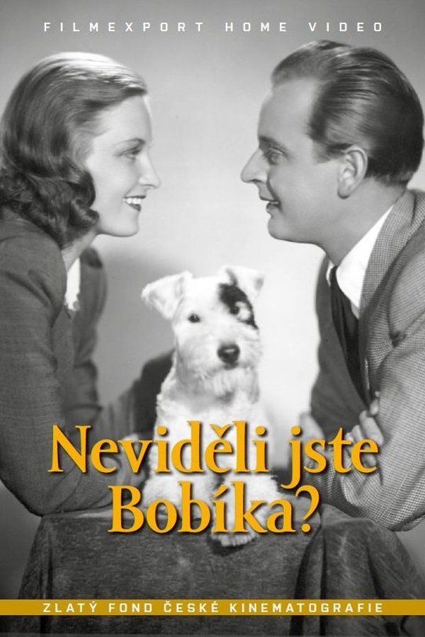 Neviděli Jste Bobíka?