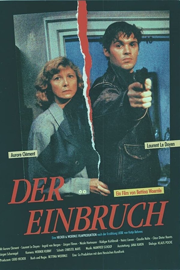 Der Einbruch