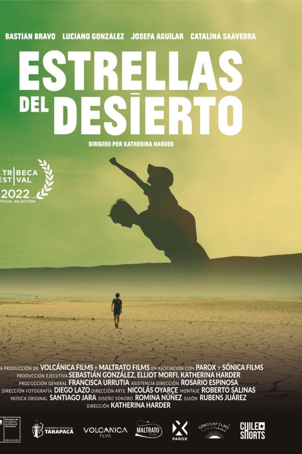 Estrellas del Desierto