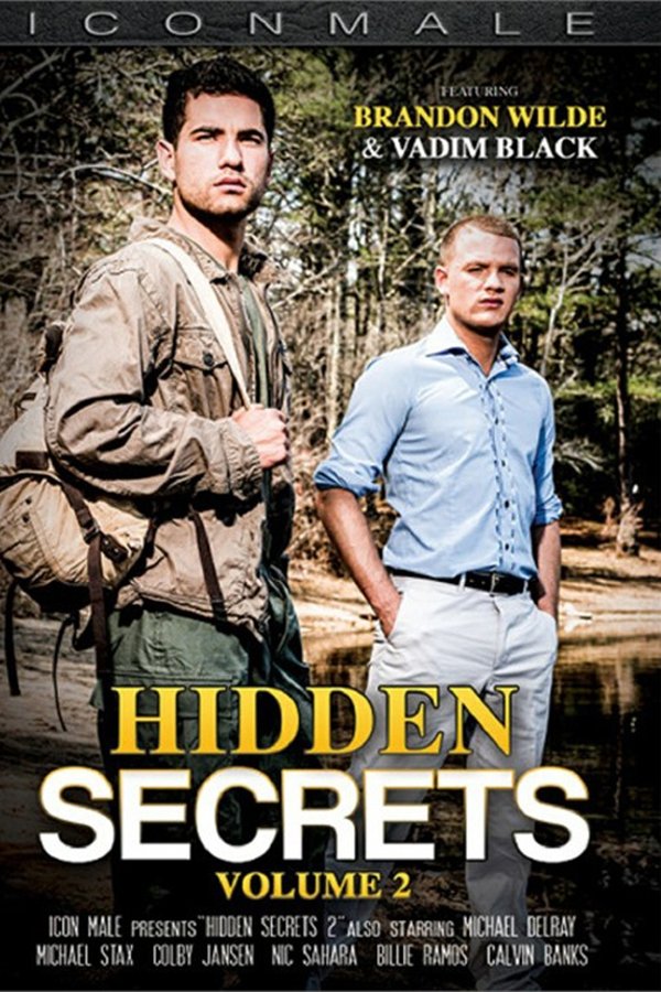Hidden Secrets 2