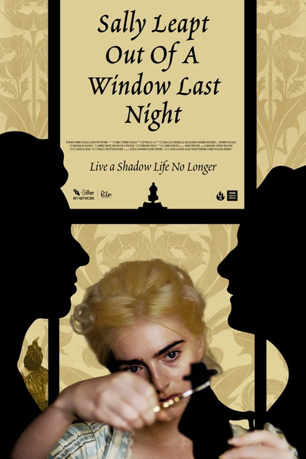 Sally Leapt Out Of A Window Last Night