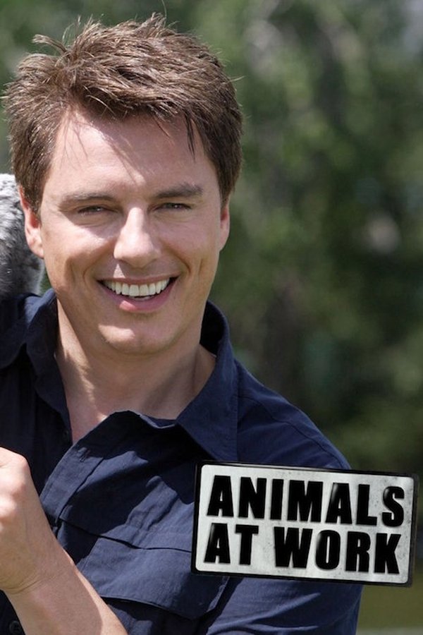 Animals At Work