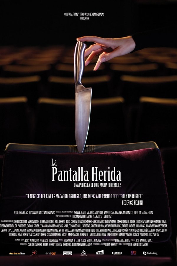La Pantalla Herida