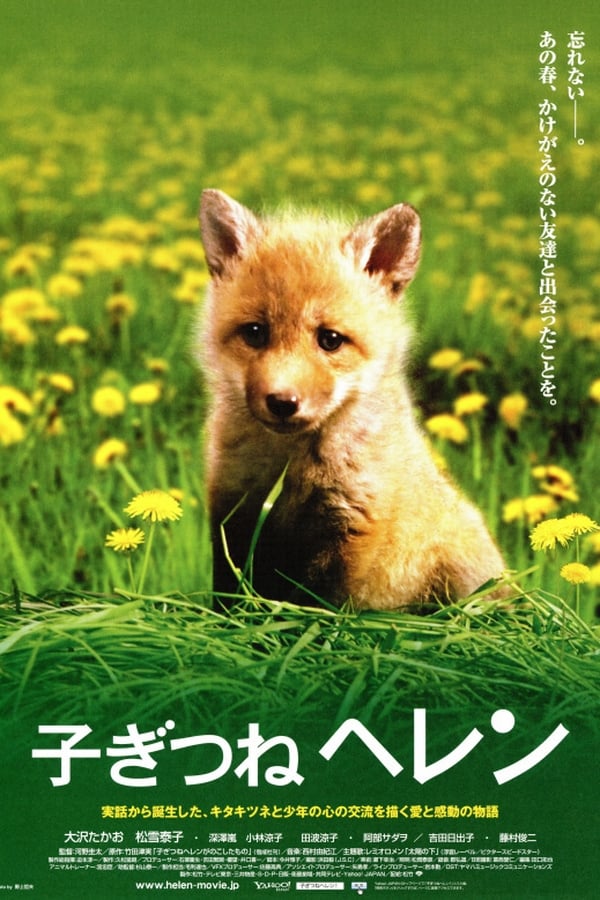 子ぎつねヘレン
