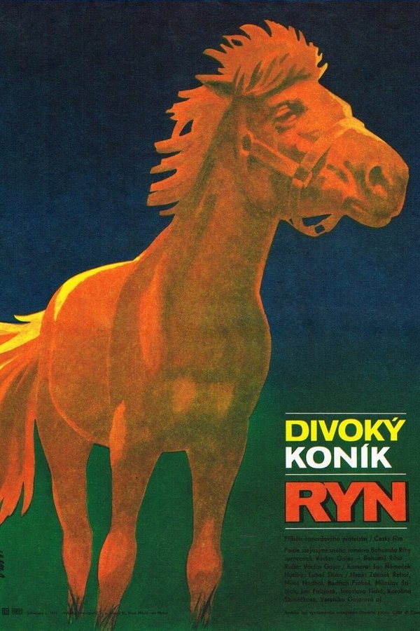 Divoký Koník Ryn