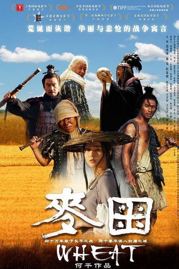 麦田
