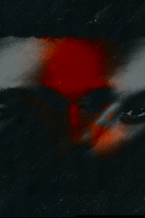 He Was Never There, Docupoem