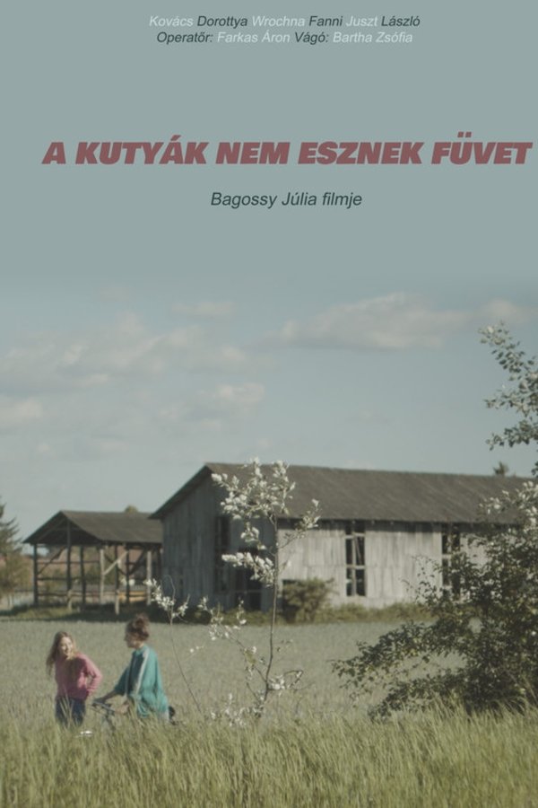 A Kutyák Nem Esznek Füvet