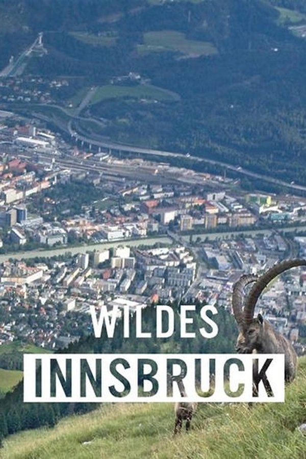 Wildes Innsbruck: Zwischen Moderne Und Alpiner Wildnis