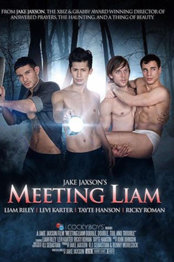 Meeting Liam