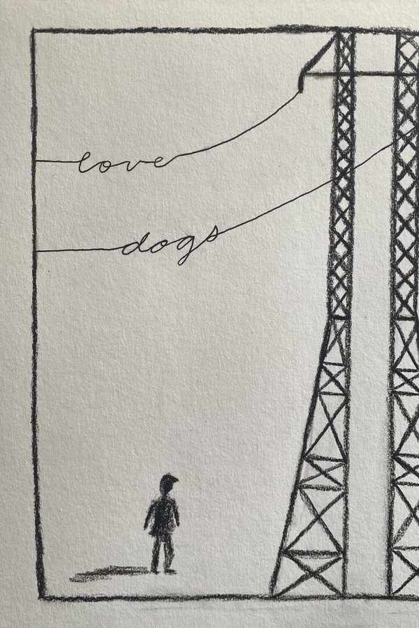 Love Dogs