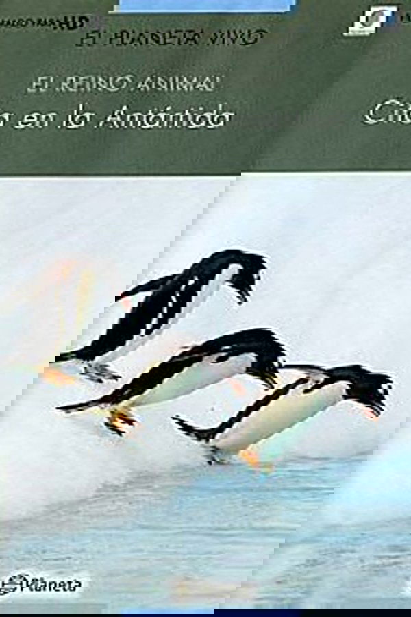 Rush Hour in Antarctica