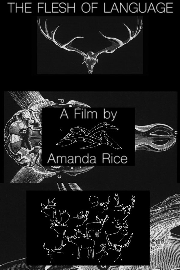 The Flesh Of Language