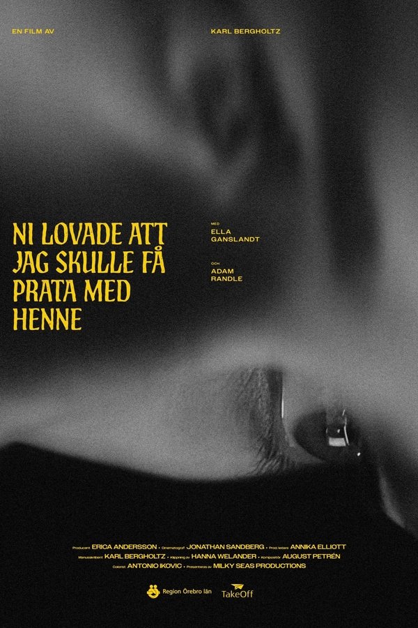 Ni Lovade Att Jag Skulle Få Prata Med Henne
