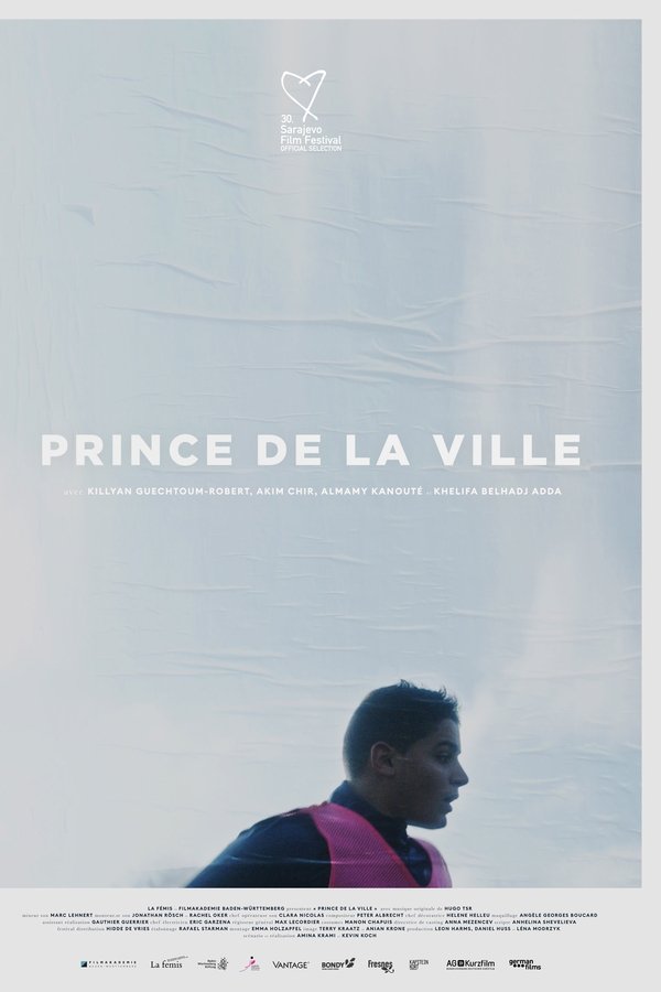Prince De La Ville