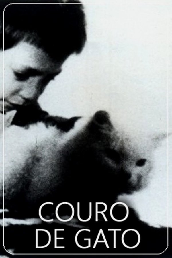 Couro De Gato