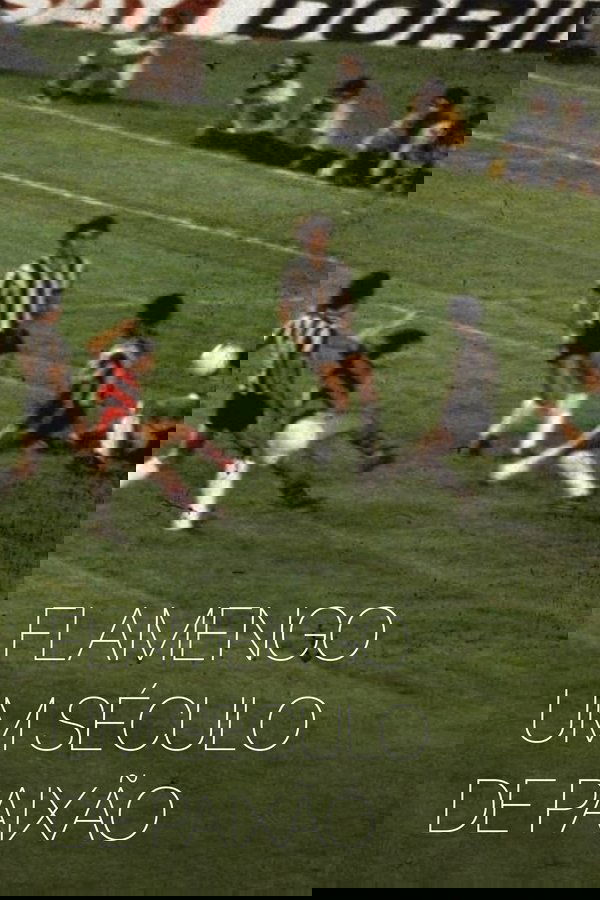 Flamengo: Um Século De Paixão