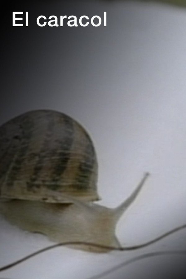 El Caracol