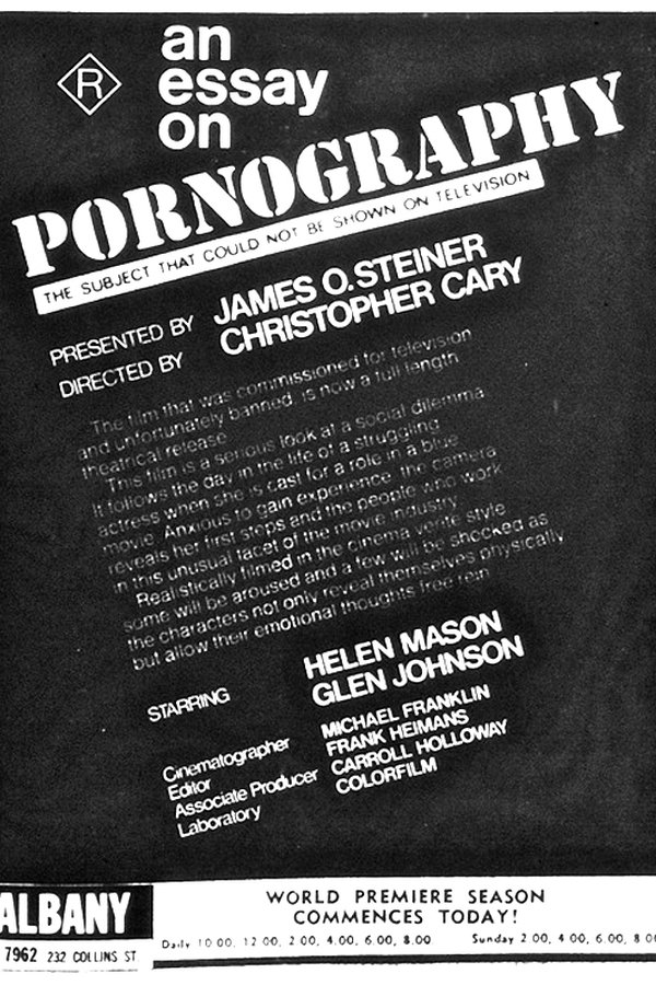 An Essay On Pornography